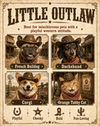 Custom Little Outlaw Pet Tee